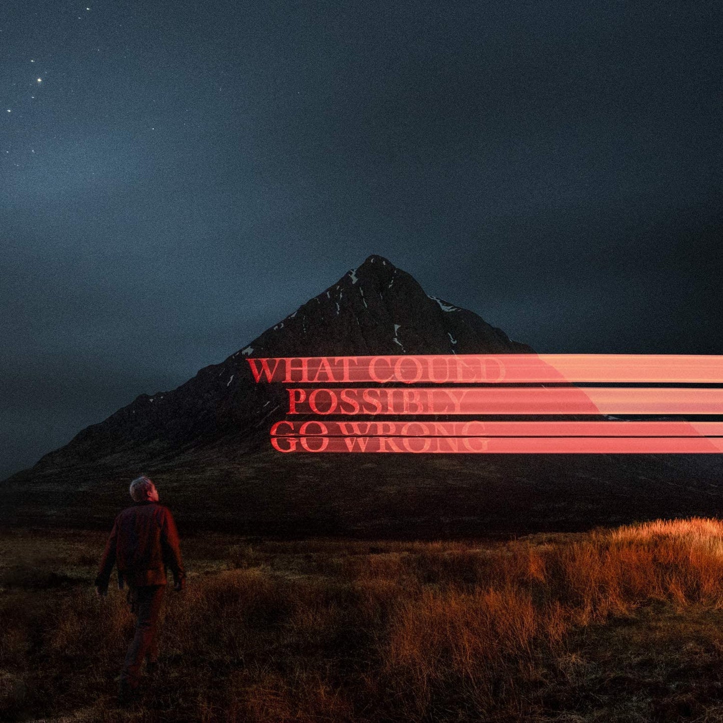 What Could Possibly Go Wrong - DOMINIC FIKE [VINYL]