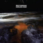 Endless Now - Male Bonding [VINYL]