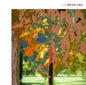 LUX - Brian Eno [VINYL]