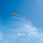 Negativity - Deer Tick [VINYL]