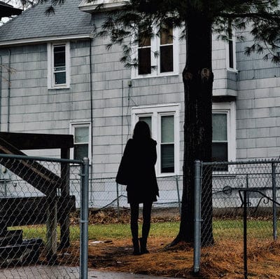 Dark Bird Is Home - The Tallest Man On Earth [VINYL]