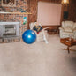 Don't Let the Kids Win:   - Julia Jacklin [VINYL]