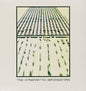 Diabolus - The Cinematic Orchestra [VINYL]