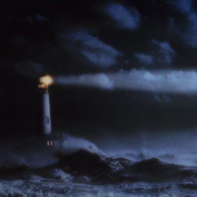 We Must Become the Pitiless Censors of Ourselves - John Maus [VINYL]