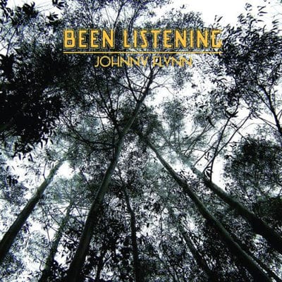 Been Listening - Johnny Flynn [VINYL]