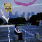 Childish Prodigy:   - Kurt Vile [VINYL]