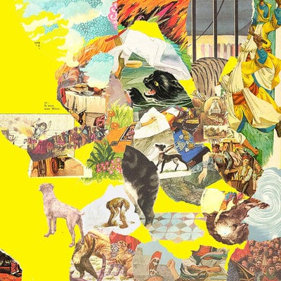 The Big Exercise:   - The Homesick [VINYL]