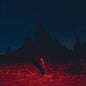 Punisher:   - Phoebe Bridgers [VINYL]