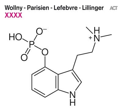XXXX:   - Wollny/Parisien/Lefebvre/Lillinger [VINYL]