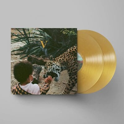 V - Unknown Mortal Orchestra [VINYL]