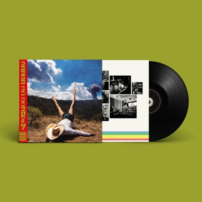 3D Country - Geese [VINYL]