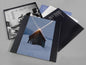 We Have Dozens of Titles - Gastr Del Sol [VINYL]