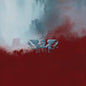 Controlling Crowds Boxset - Archive [VINYL]
