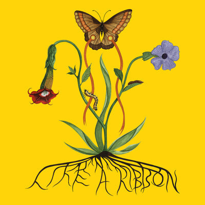 Like a Ribbon - John Glacier [VINYL]