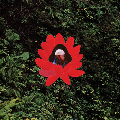 When the Flowers Bloom - Lionmilk [VINYL]